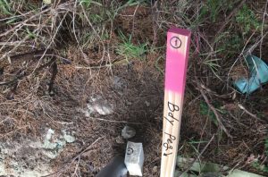 C. Boundary Survey