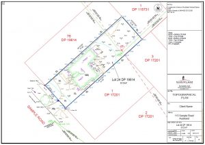 D. Topographical survey / Site Plan